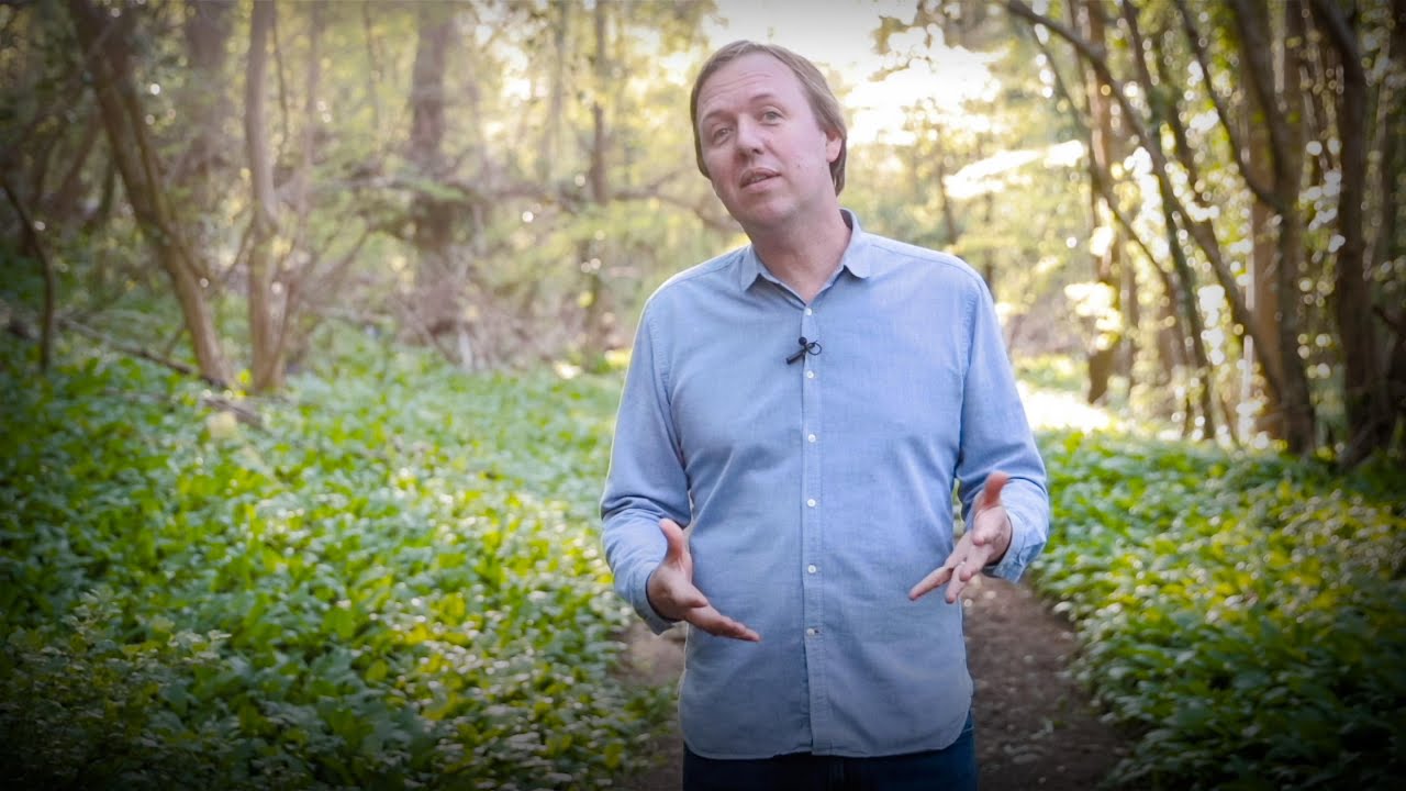 How to shift your mindset and choose your future | Tom Rivett-Carnac — video