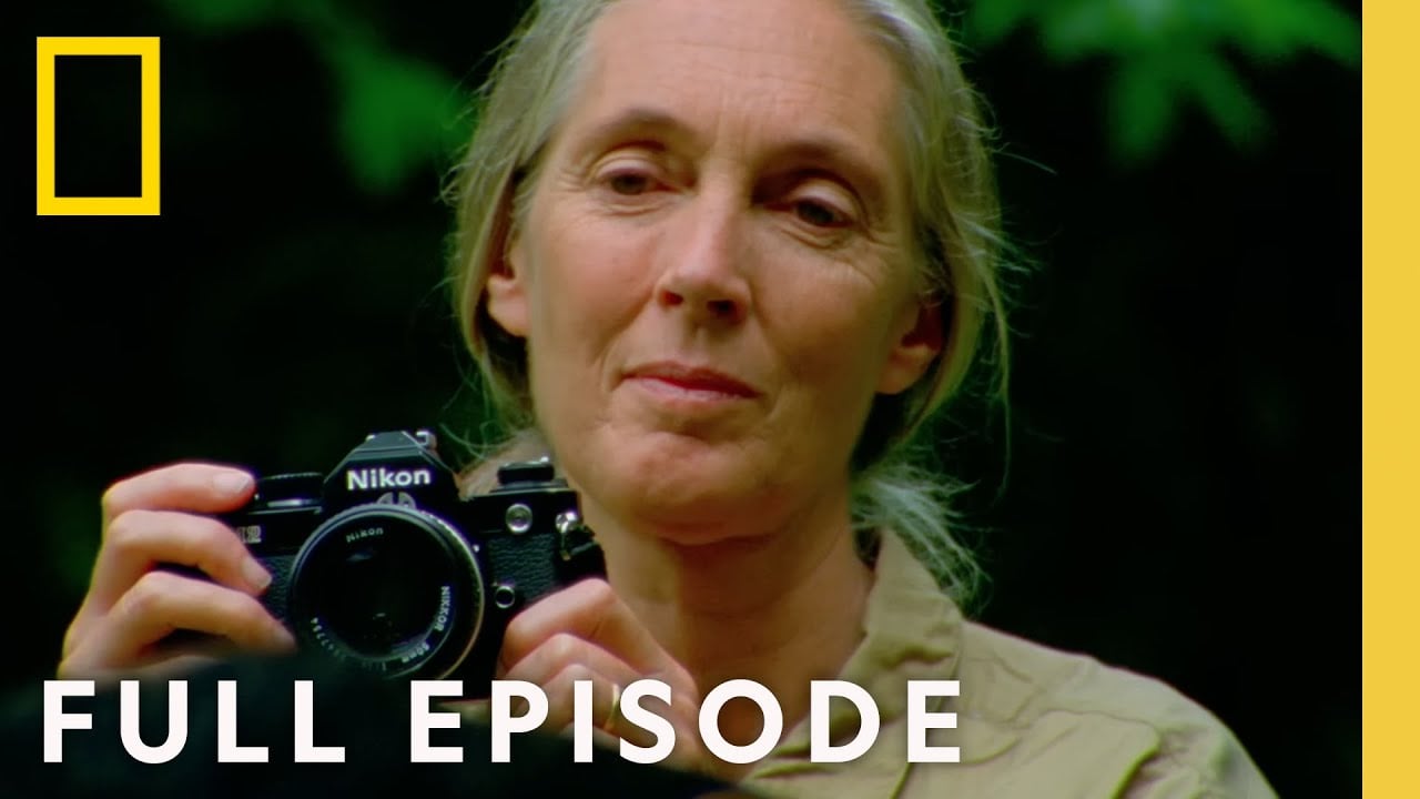 Jane Goodall: An Inside Look — video
