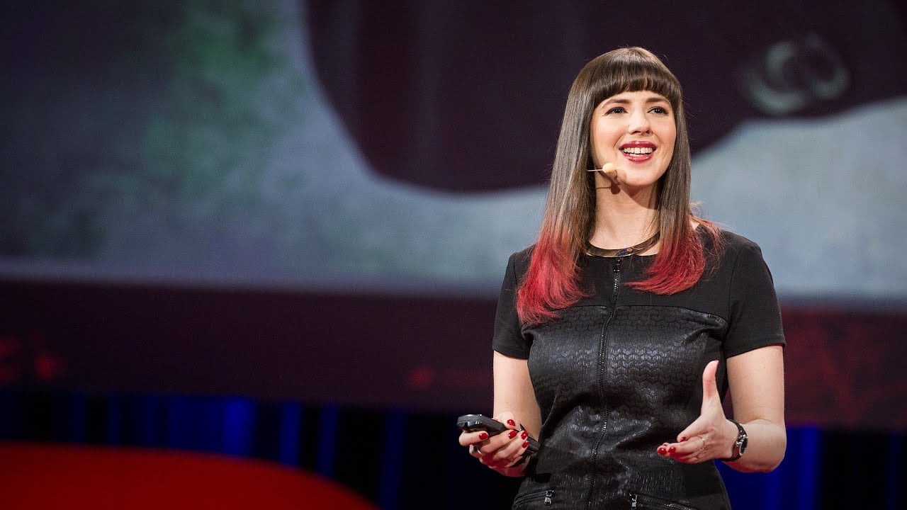 Hackers: the internet's immune system | Keren Elazari — video