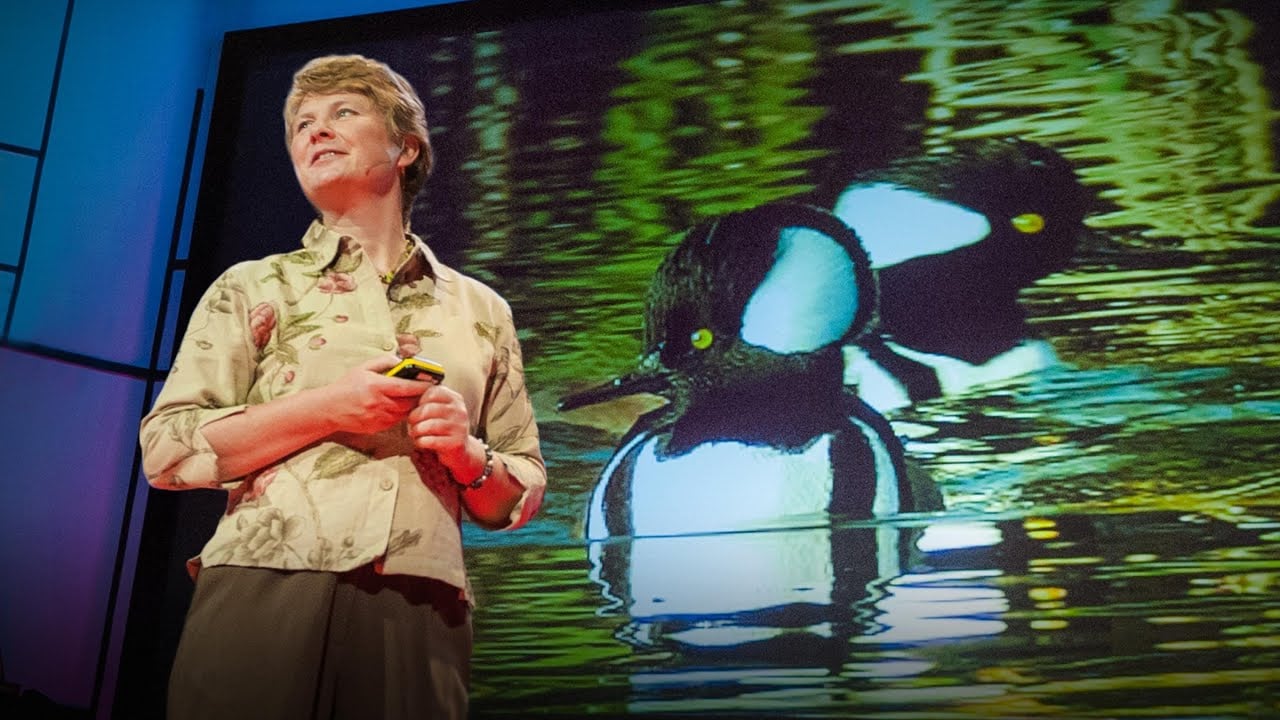 Biomimicry in action | Janine Benyus — video