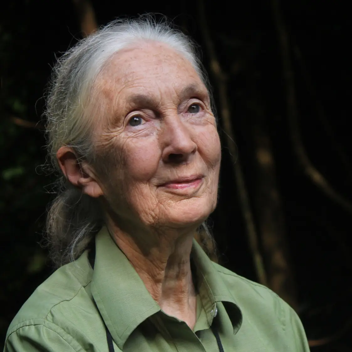 Jane Goodall